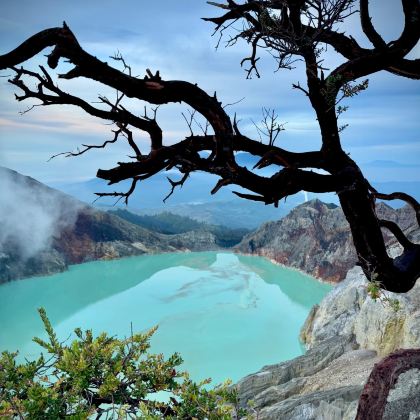 印度尼西亚泗水+科莫多+巴厘岛10日9晚私家团