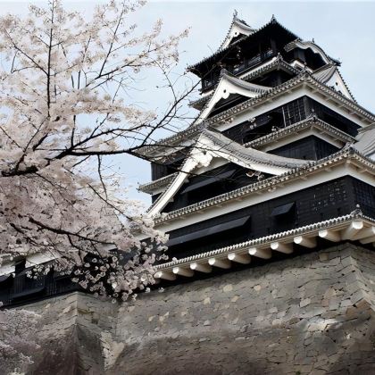 日本7日6晚自由行