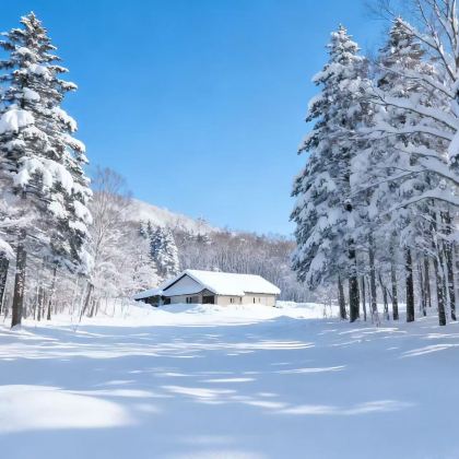 日本北海道札幌+富良野+钏路+网走+小樽11日10晚拼小团