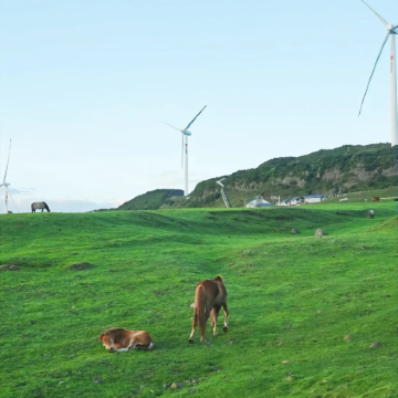 贵州贵阳+黄果树景区+荔波小七孔景区+西江千户苗寨+梵净山+万峰林景区+赤水大瀑布+肇兴侗寨+乌蒙大草原14日13晚拼小团