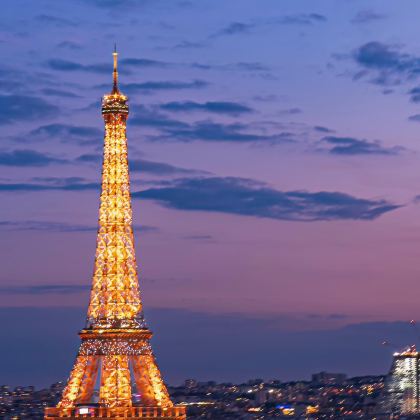 法国+瑞士11日9晚私家团