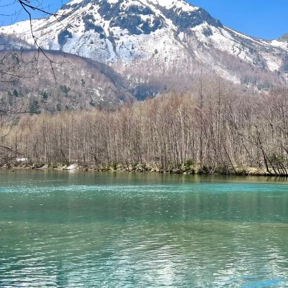 日本高山村6日5晚私家团