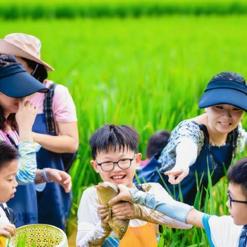 亲近自然•5天4夜山水桂林研学亲子营丨遇龙河竹筏+渔舟唱晚+飞拉达攀岩+【梯田农耕+稻田摸鱼+爬梯田】冠岩喀斯特研学溶洞探险+桂林米粉制作+入住高端5钻酒店享受惬意亲子生活