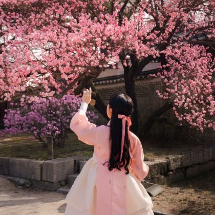 韩国首尔5日4晚私家团