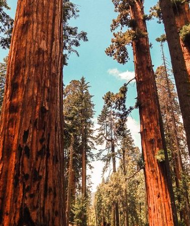 3D2N • Yosemite 3-Day Camping Adventure from San Francisco