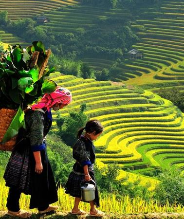 3D2N • From Hanoi: 3-Days Sapa Trekking and Bus Tour from Hanoi