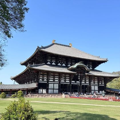 日本大阪+京都+奈良+东京+富士山+日本环球影城+伏见稻荷大社7日6晚私家团