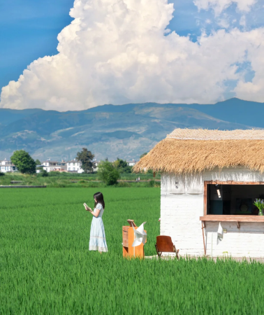 8D7N • Highlights in Yunnan & Must visit & High-end: Kunming + Dali City + Lijiang + Shangri-La + Yulong Snow Mountain