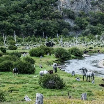 阿根廷乌斯怀亚+火地岛国家公园+比格尔海峡+也格来日斯灯塔2日1晚私家团