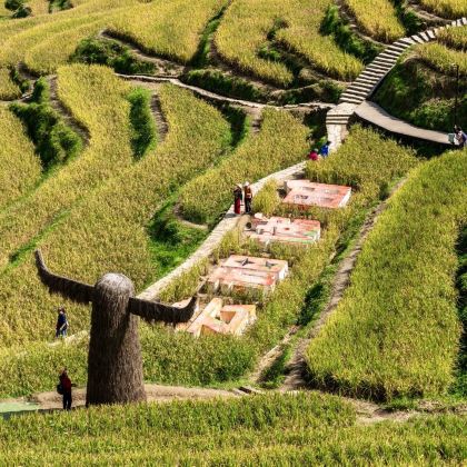 丽水3日2晚私家团