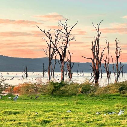 肯尼亚+马赛马拉国家保护区+奈瓦沙湖+桑给巴尔岛8日6晚私家团