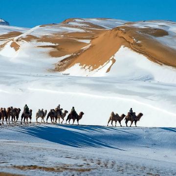 呼和浩特+辉腾锡勒草原+乌兰哈达火山地质公园+响沙湾5日4晚私家团