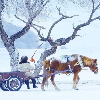 北戴河+承德+坝上+乌兰布统+木兰围场6日5晚跟团游