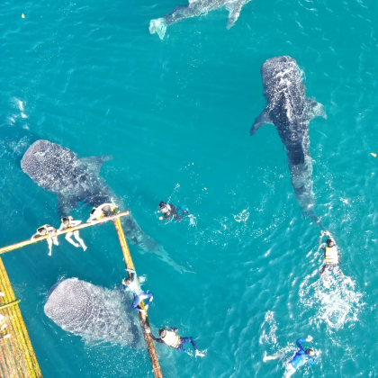 菲律宾马尼拉市+宿务+薄荷岛6日5晚私家团