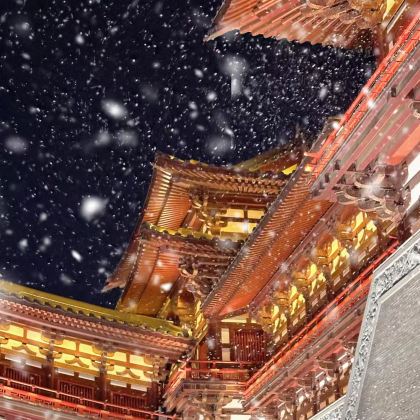 河南郑州+洛阳+开封+老君山景区5日4晚私家团