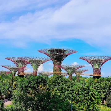 新加坡+马六甲+吉隆坡6日5晚拼小团