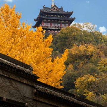 金山+金山寺+北固山+西津渡历史文化街区2日1晚私家团