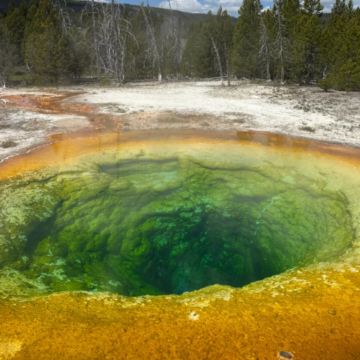 洛杉矶+怀俄明州+盐湖城+黄石国家公园7日6晚私家团