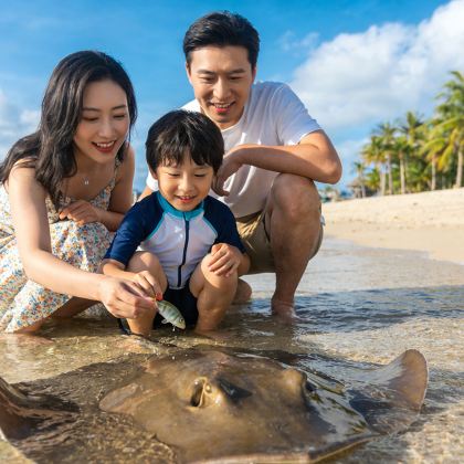 海南三亚+亚特兰蒂斯5日私家团