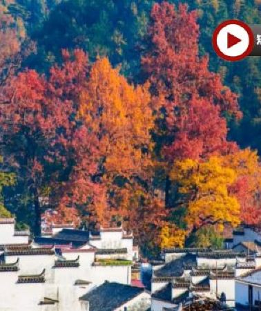 4日3晚 • 🍁 秋色江西‧人間仙境~景德鎮、婺源、撫州、南昌4天純玩高鐵團🍁人氣賞楓勝地~婺源石城、篁嶺曬秋、鳳凰溝賞紅楓及銀杏、陶溪川文創街區、陶陽里御窯、御窯博物館、文昌里歷史文化街區、弦高古城‧...