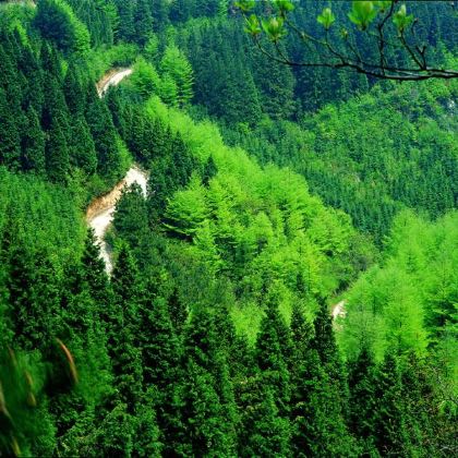 阳明古镇+王阳明故居+浙东小九寨+四明湖3日2晚私家团