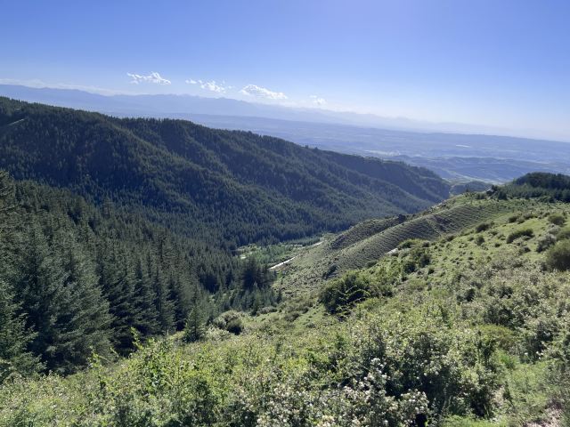 焉支山(暂停开放)旅行图片 4