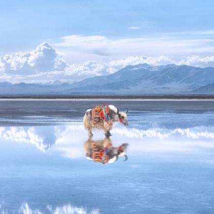 中国青海海南藏族自治州青海湖二郎剑景区+乌兰茶卡盐湖+塔尔寺+金银滩草原2日1晚自由行