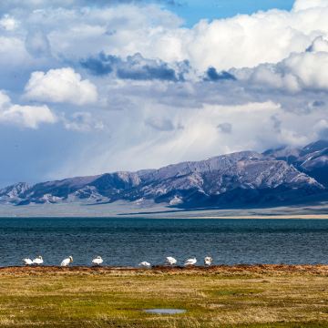 新疆喀什地区4日3晚私家团