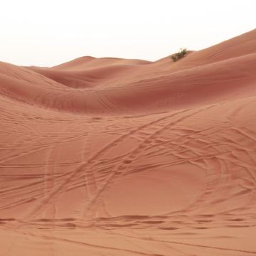 越南胡志明市+美奈+芽庄6日5晚跟团游