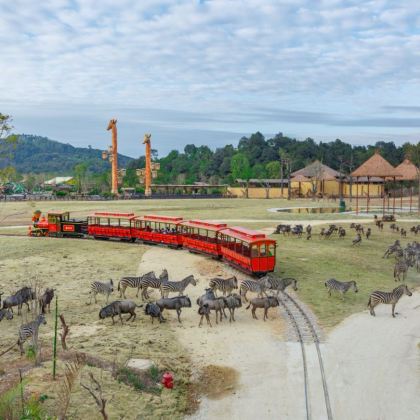 广州长隆度假区+清远长隆度假区5日4晚跟团游