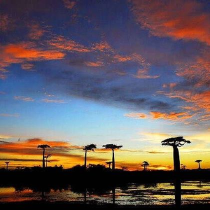 马达加斯加+塔那那利佛+留尼汪（法属）圣但尼11日私家团