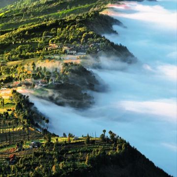 印度尼西亚巴厘岛+布罗莫火山+伊真火山+罗威纳海滩5日4晚自由行