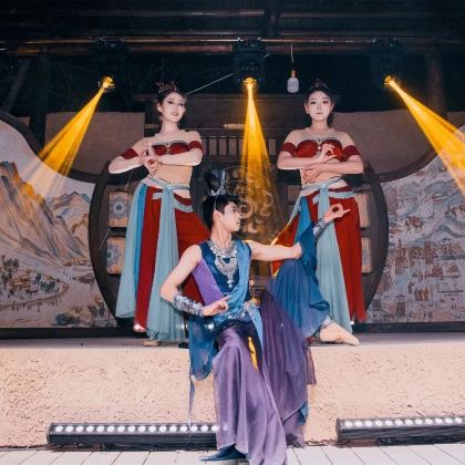 宁夏银川沙湖+镇北堡西部影城+中卫沙坡头2日1晚私家团