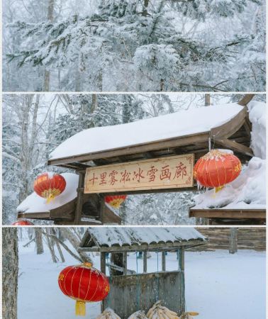 6D5N • Shenyang + Harbin Ice-Snow World + Snow town + Yabuli ski resort, encouter a snow-covered winter land. free upgrade to a private group for more thans 6 people orders.
