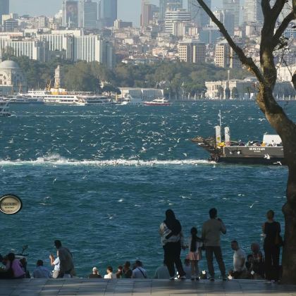 土耳其+毛里求斯13日12晚拼小团