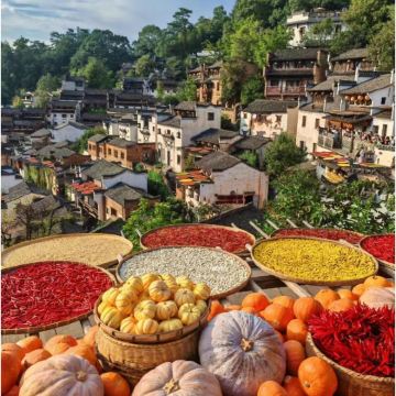 江西婺源+宏村+西递+塔川3日2晚自由行