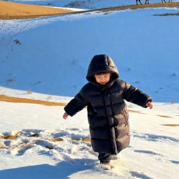 内蒙古呼和浩特+辉腾锡勒草原+乌兰哈达火山地质公园+响沙湾4日3晚私家团