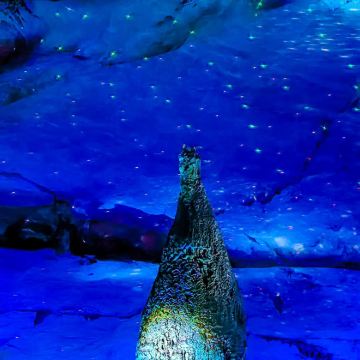 三明+桂峰古村落景区+玉华洞+沙县步行街4日3晚私家团