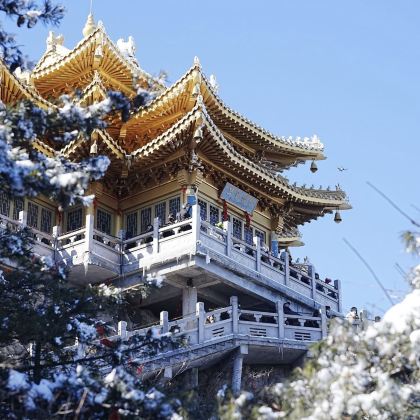 河南郑州+开封+安阳+洛阳+老君山11日10晚私家团