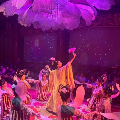 洛阳龙门石窟+白马寺+老君山景区+少林寺4日3晚私家团