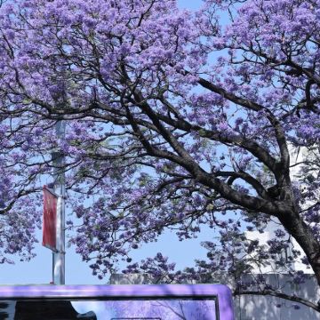 攀枝花+米易+西昌+德昌8日7晚私家团