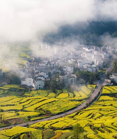3D2N • Wangxian Valley + Sanqingshan Mount Scenic Area + Wuyuan Huangling Scenic Area