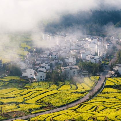 江西景德镇+婺女洲度假区+婺源篁岭景区+三清山风景区+望仙谷5日4晚私家团