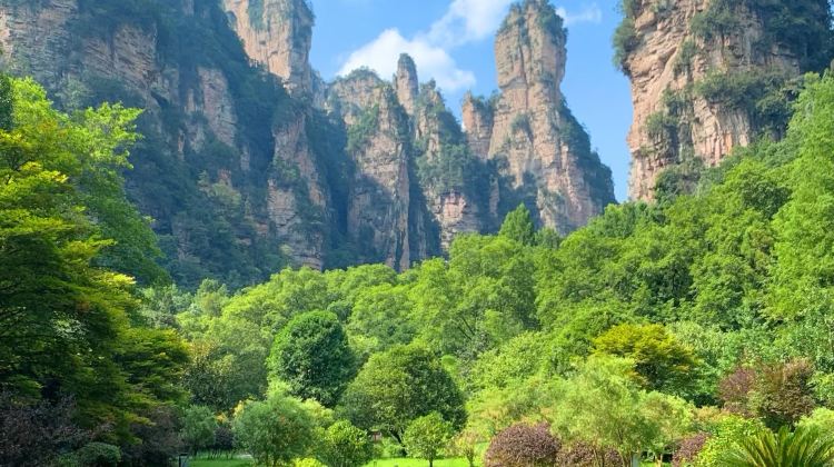 5-Day Tianzishan + Changsha + Zhangjiajie + Tianmen Mountain National Forest Park