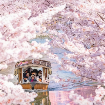 日本名古屋+富山+长野县+下吕市+飞弹高地6日5晚私家团