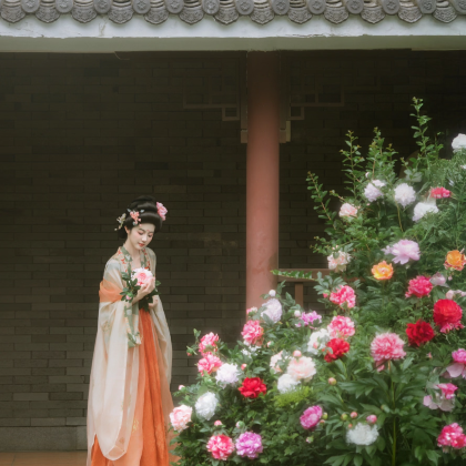 河南洛阳老君山景区+龙门石窟+洛阳博物馆2日1晚私家团