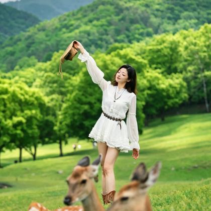 伊春+五大连池市+齐齐哈尔5日4晚拼小团