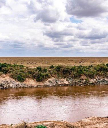4D3N • 4 Days Budget Safari to Maasai Mara only from Nairobi