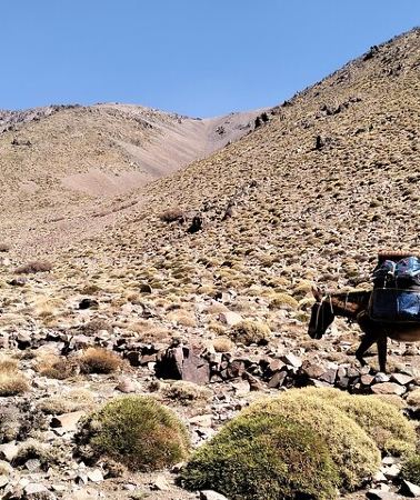 2D1N • 2 Days Trek from Marrakesh Mount Toubkal