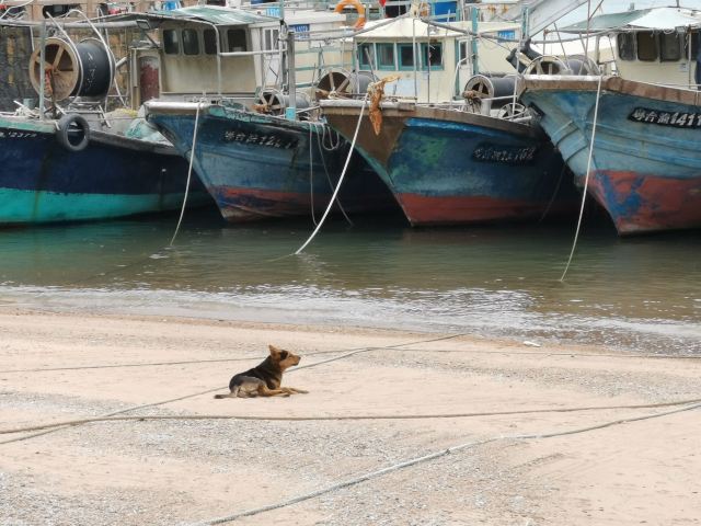 琴澳海湾游(横琴码头)旅行图片 2